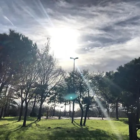 דירה Luxury 1 Bedroom - Gym & Park. *